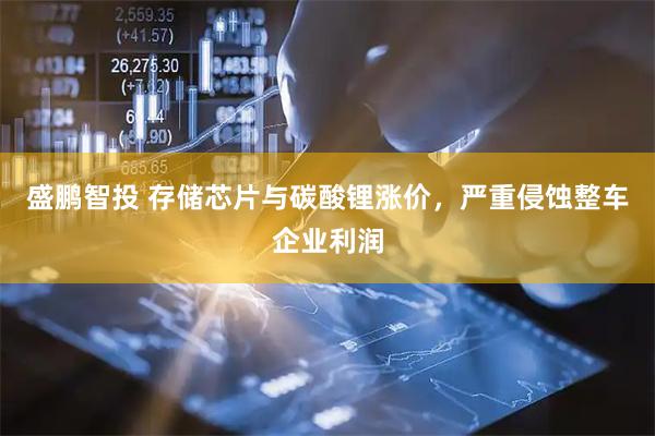 盛鹏智投 存储芯片与碳酸锂涨价，严重侵蚀整车企业利润